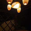 Pendente Lustre Honolulu 60cm + 04 Saint Martin 05